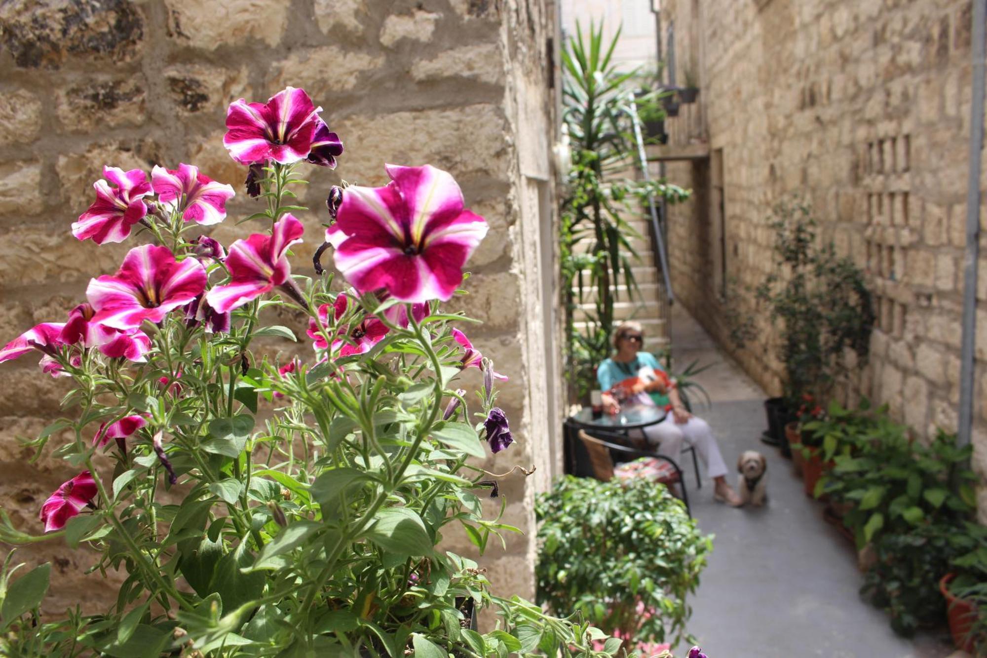Street Garden Apartment Hvar Town Esterno foto
